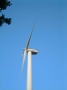thm003_WIND1.jpg